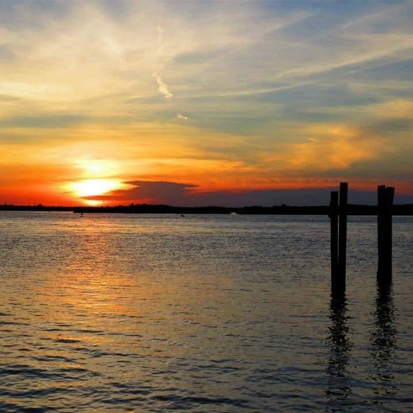 Meet your Posher, Sheri - Picture 4 of 5